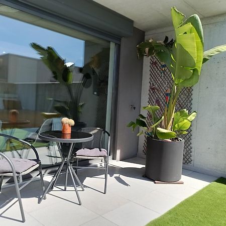 Casa Das Falcoeiras - Estudio Com Terraco Privado Αβέιρο Εξωτερικό φωτογραφία